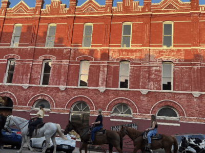 Austin: Maverick Horsemanship Trail Ride